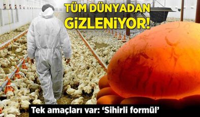 ABD’nin herkesten gizlediği tavuk çiftlikleri! Tek amaçları var: ‘Sihirli formül’