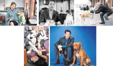 Perdenin en sevimli oyuncuları