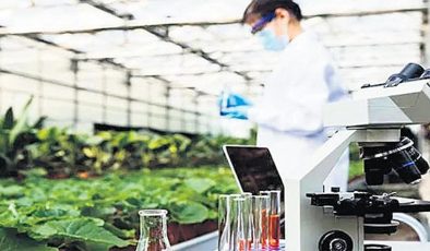 Tarım ile bilim buluşabilirse…