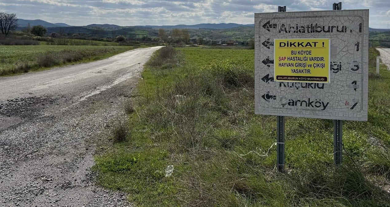 Çanakkale’de şap hastalığı alarmı