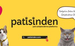 Köpek ilanları ve Kedi ilanları ile Sahiplendirme Rehberi