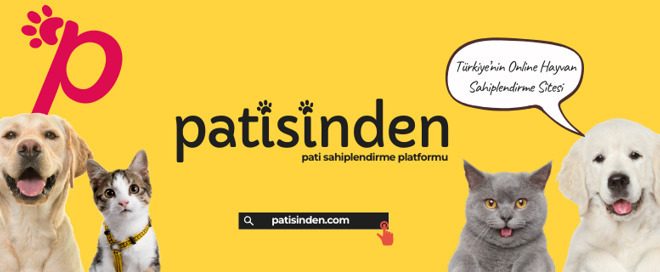 Köpek ilanları ve Kedi ilanları ile Sahiplendirme Rehberi